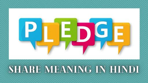 pledge share meaning in hindi