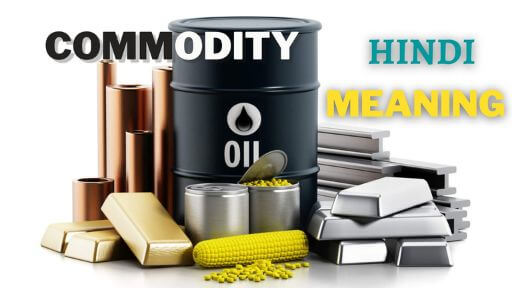 meaning of commodity in hindi